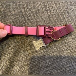 Target Pink and Burgundy Dog Collar